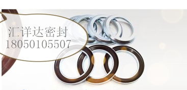 【德國進口cfw/babsl油封型號表,42423價格,圖片,配件廠家】