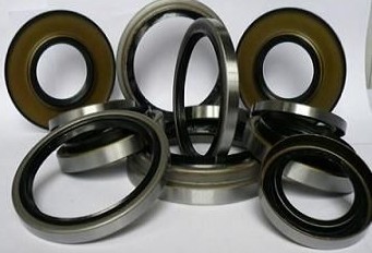 供應(yīng)進(jìn)口TB型金屬油封 NBR-TB油封規(guī)格詳解