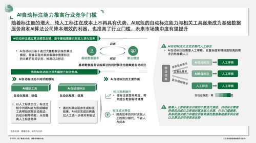 德勤咨詢 人工智能基礎數據服務白皮書——信息技術咨詢服務的深度解析